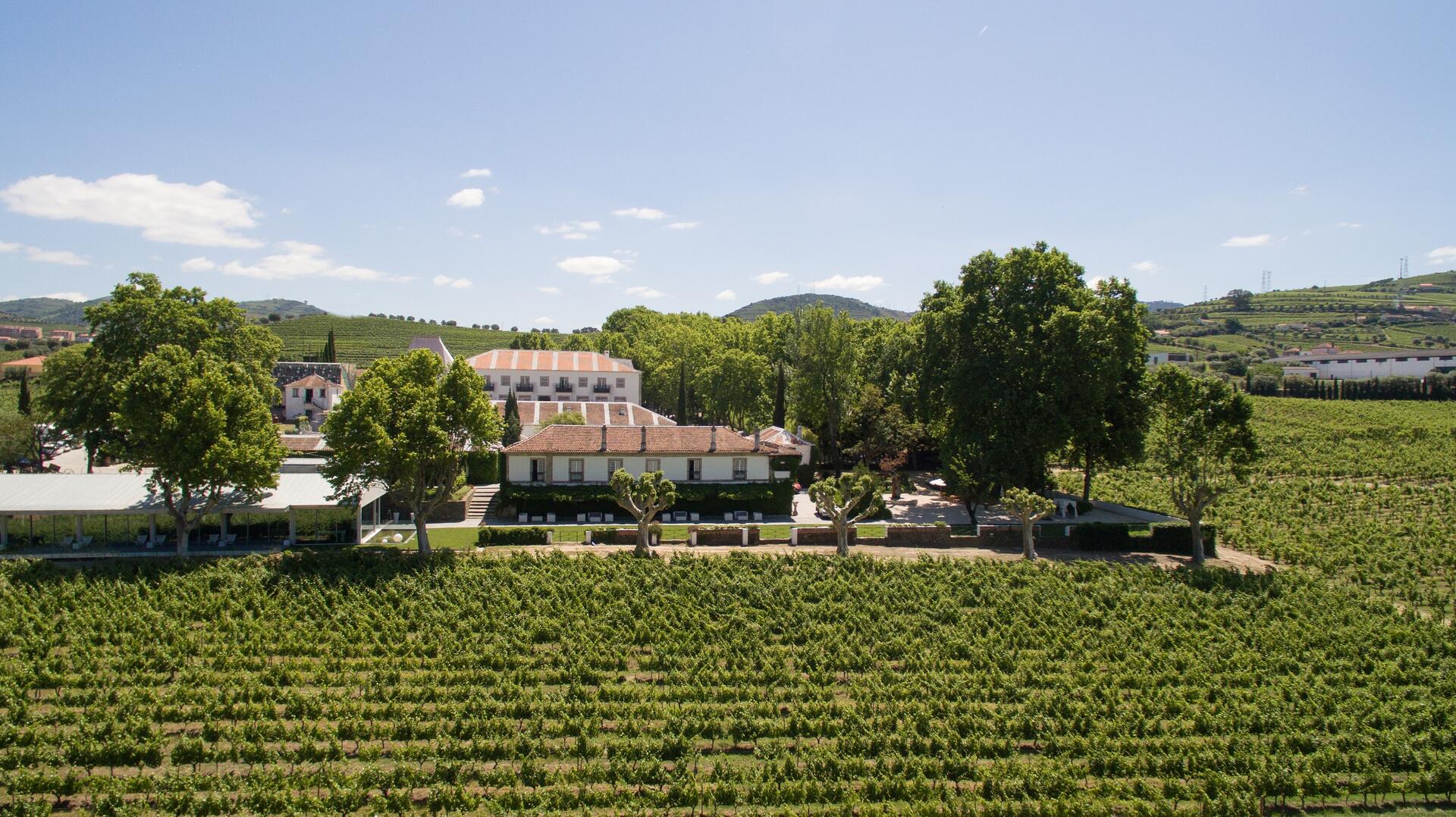 Quinta Da Pacheca