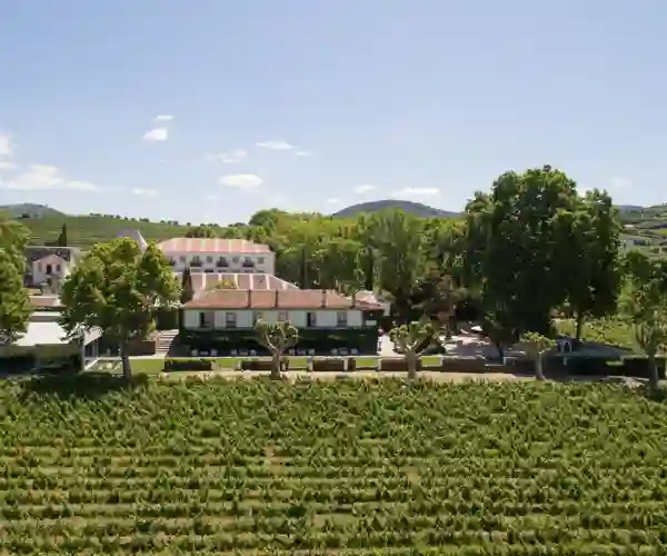 Quinta Da Pacheca