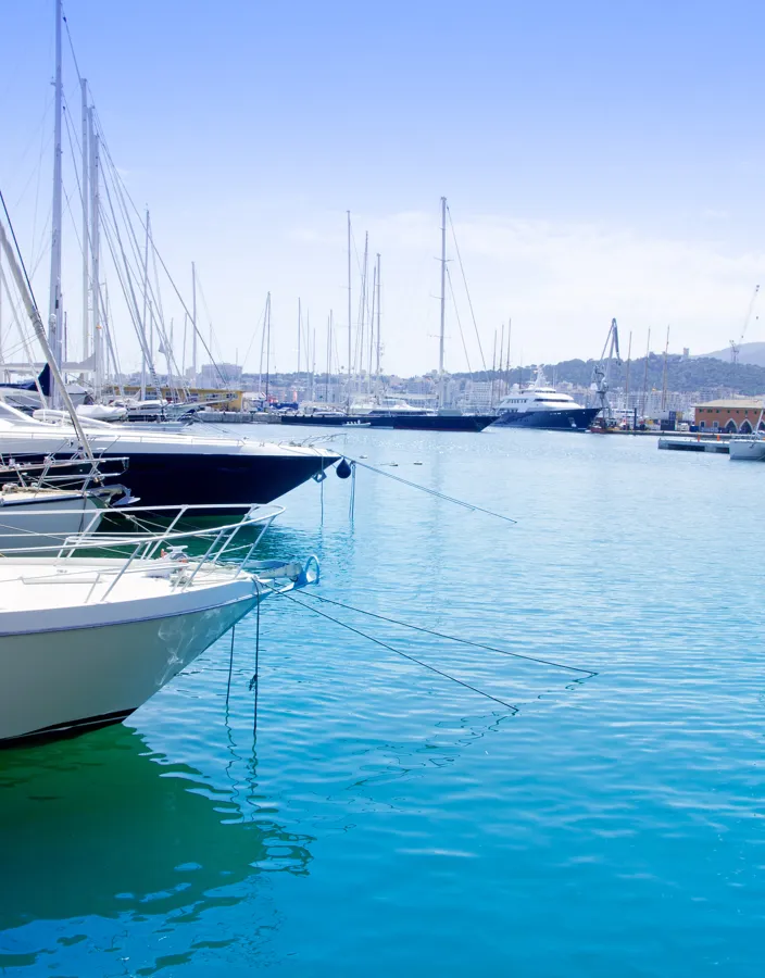 Segelbåtar i Palmas hamn