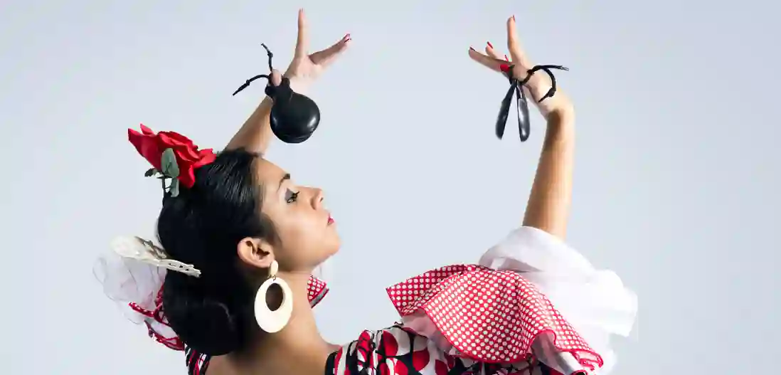 Flamencos fortryllende verden