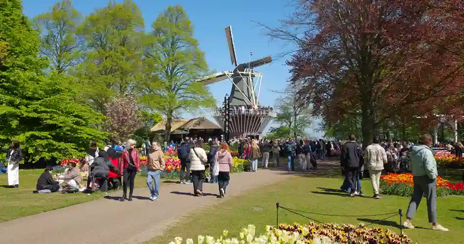 Blomsterprakt i Keukenhof