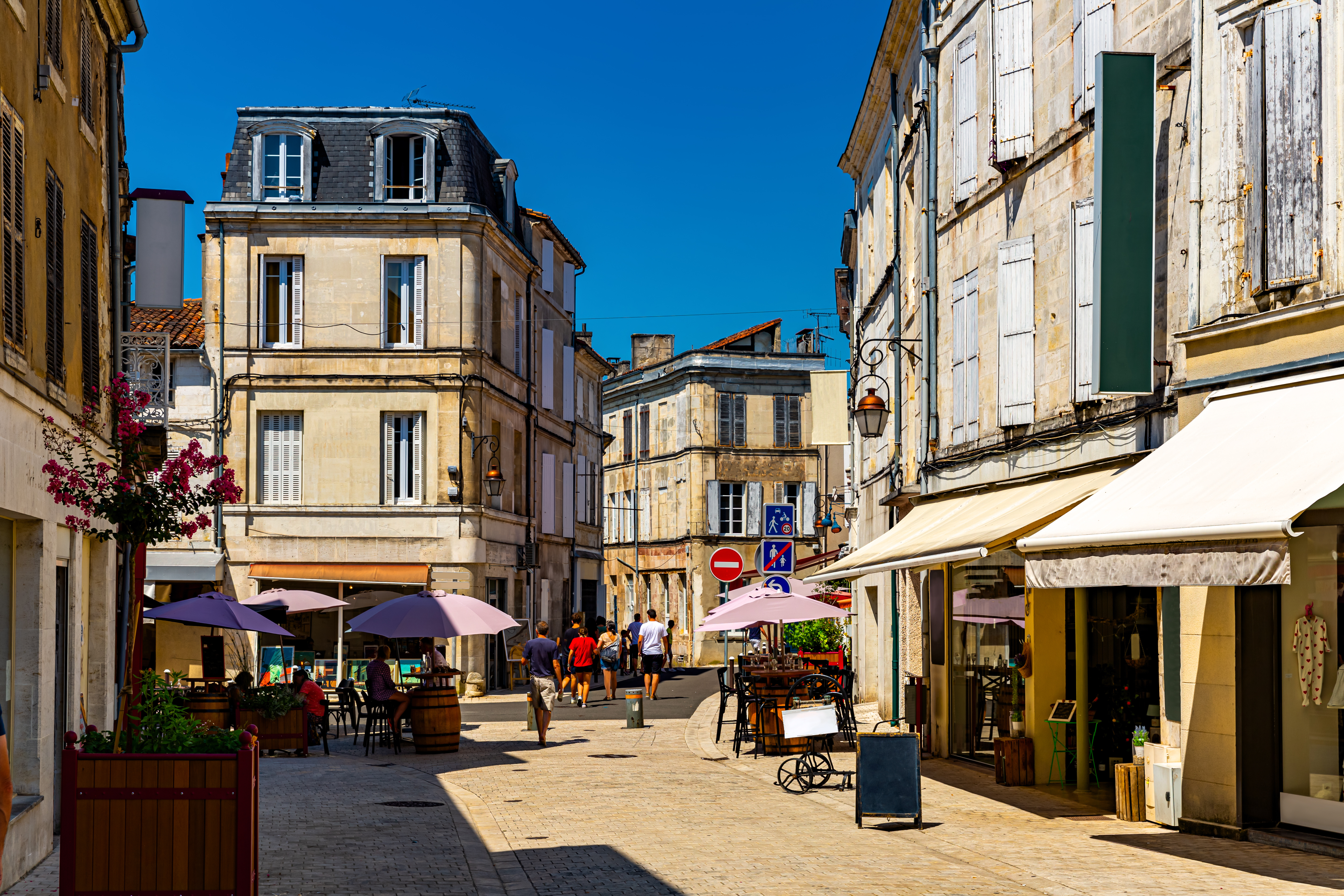 Cognac 