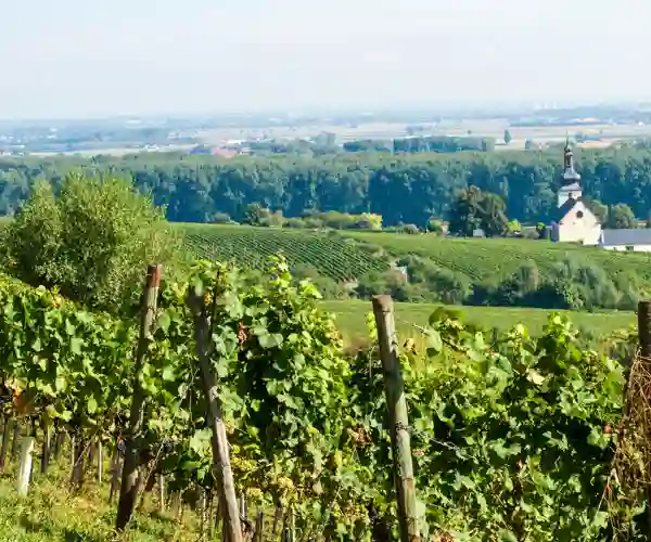 Nierstein
