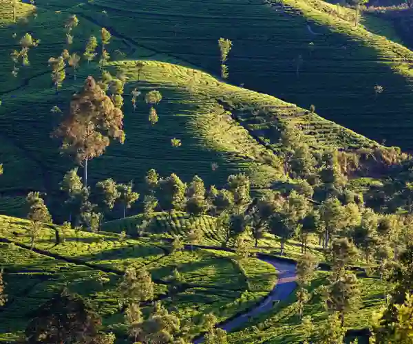 Udsigt fra Lipton’s Seat