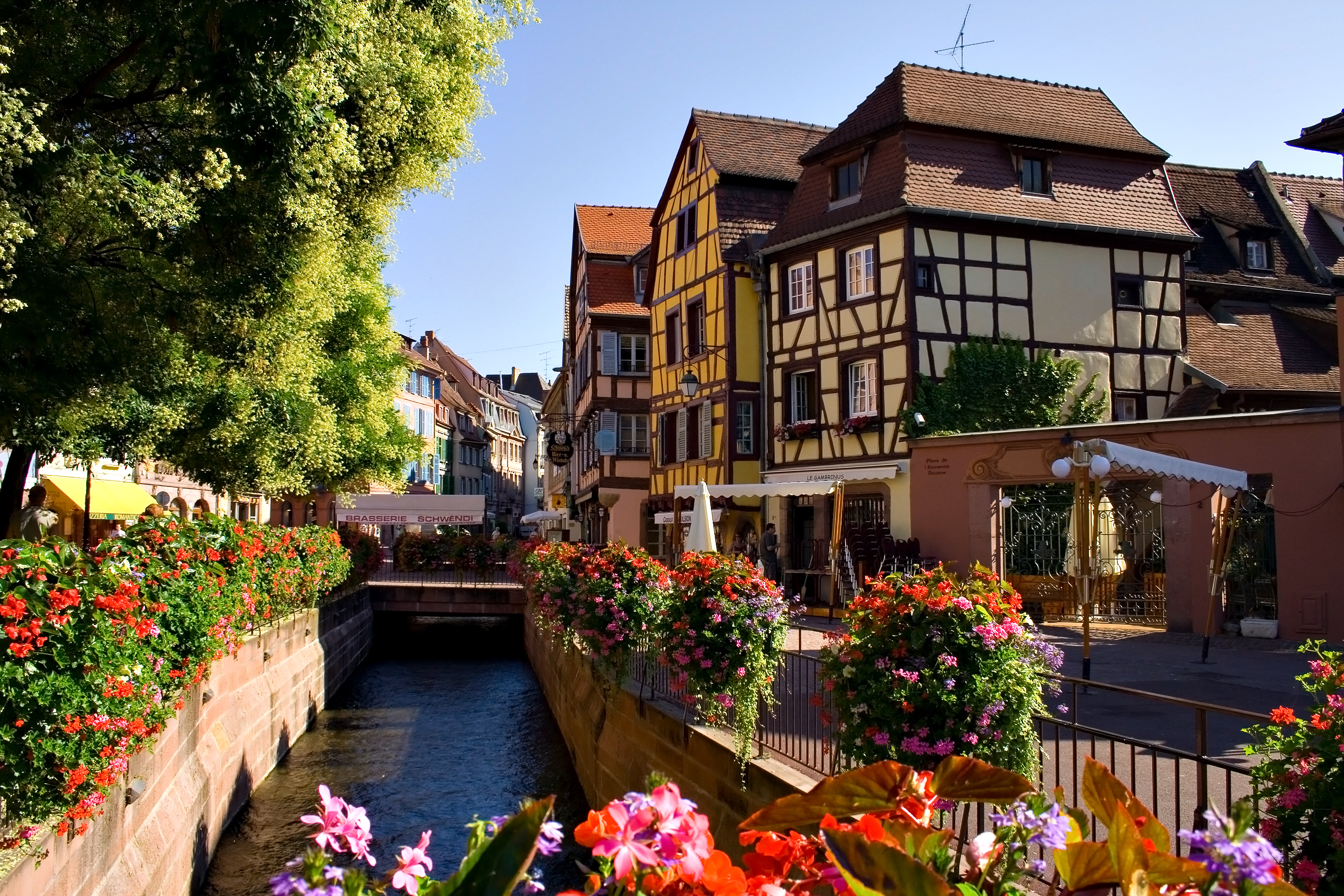 Colmar