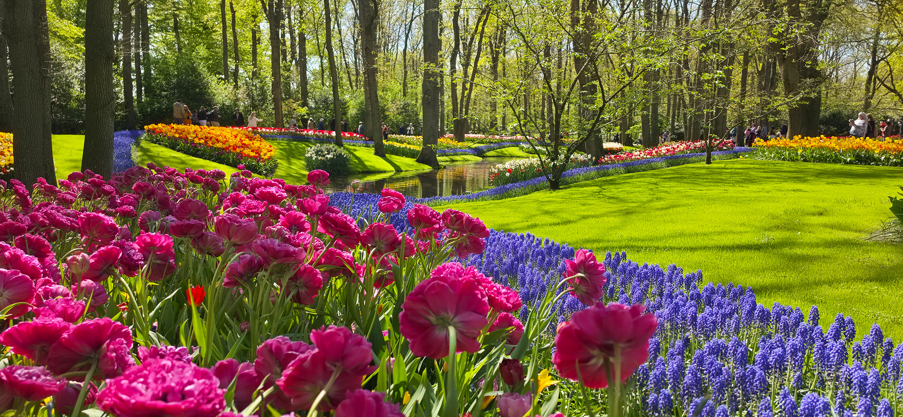 Keukenhof