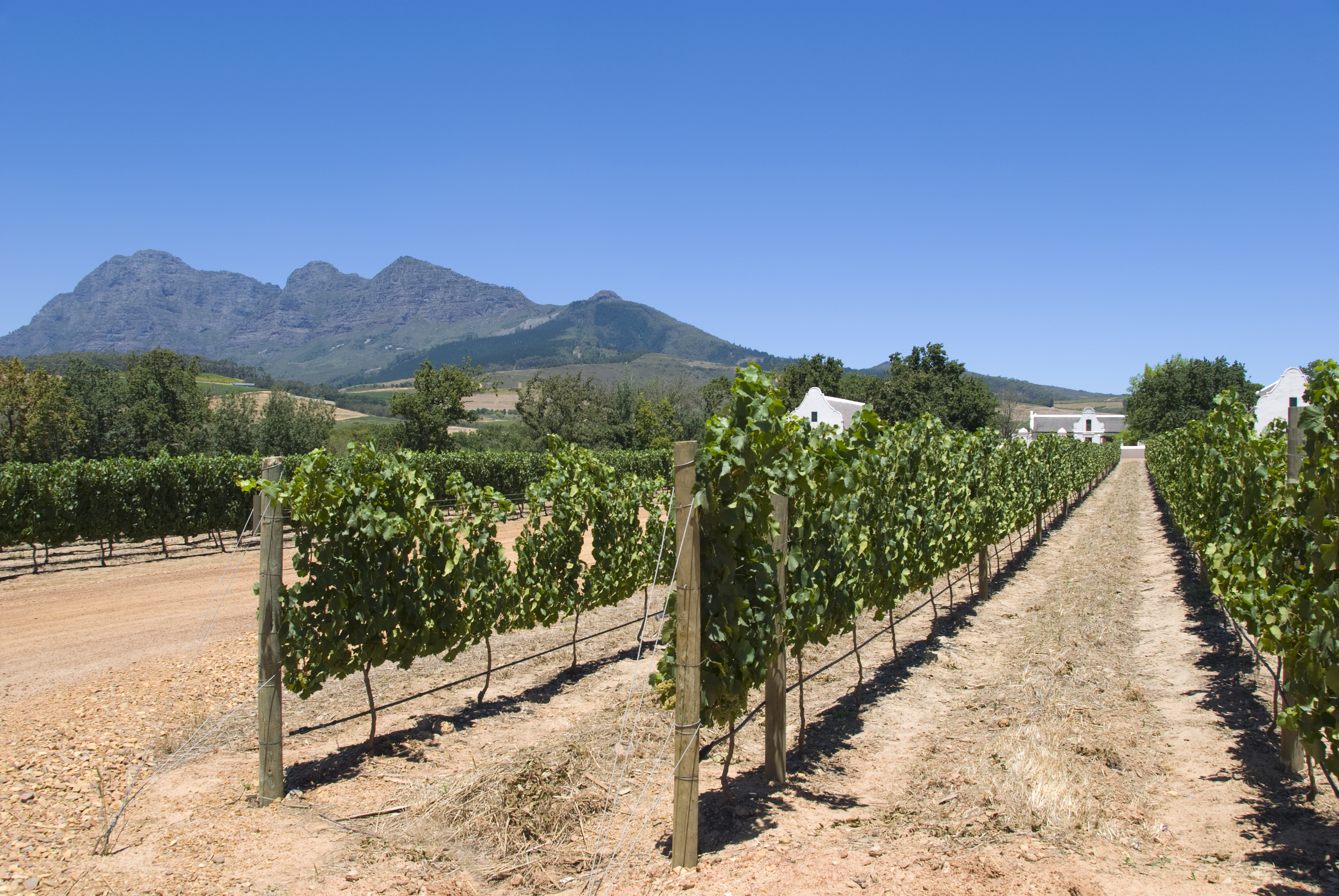 Winelands