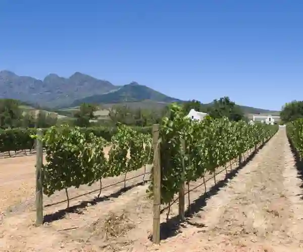 Winelands