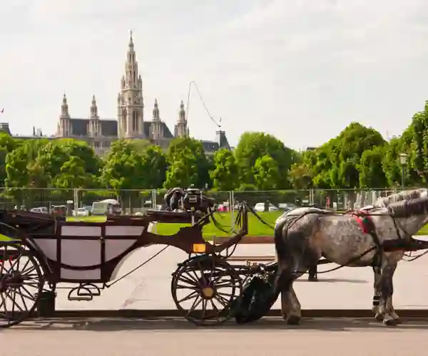 Rådhuset i bakgrunnen