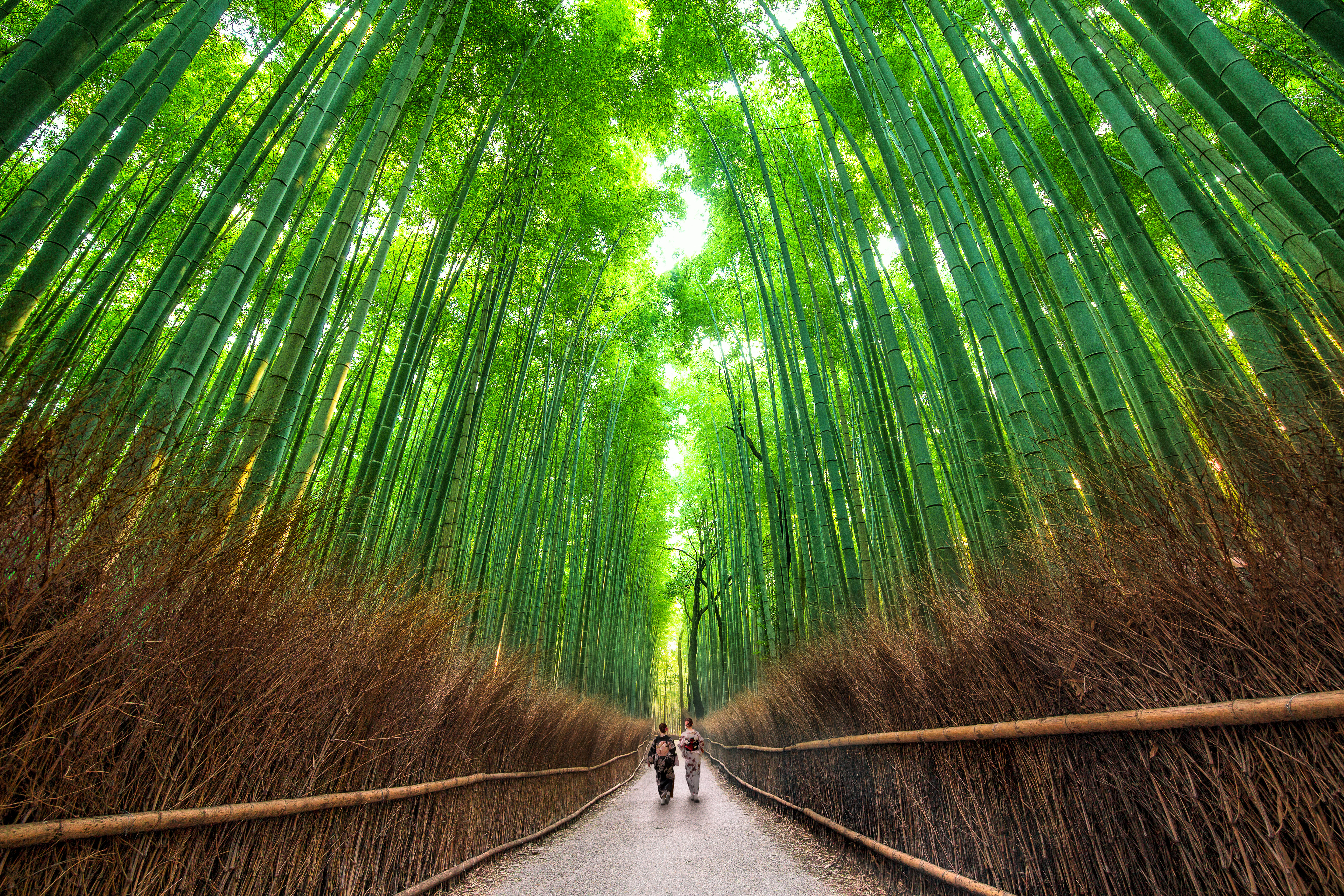 Arashiyama