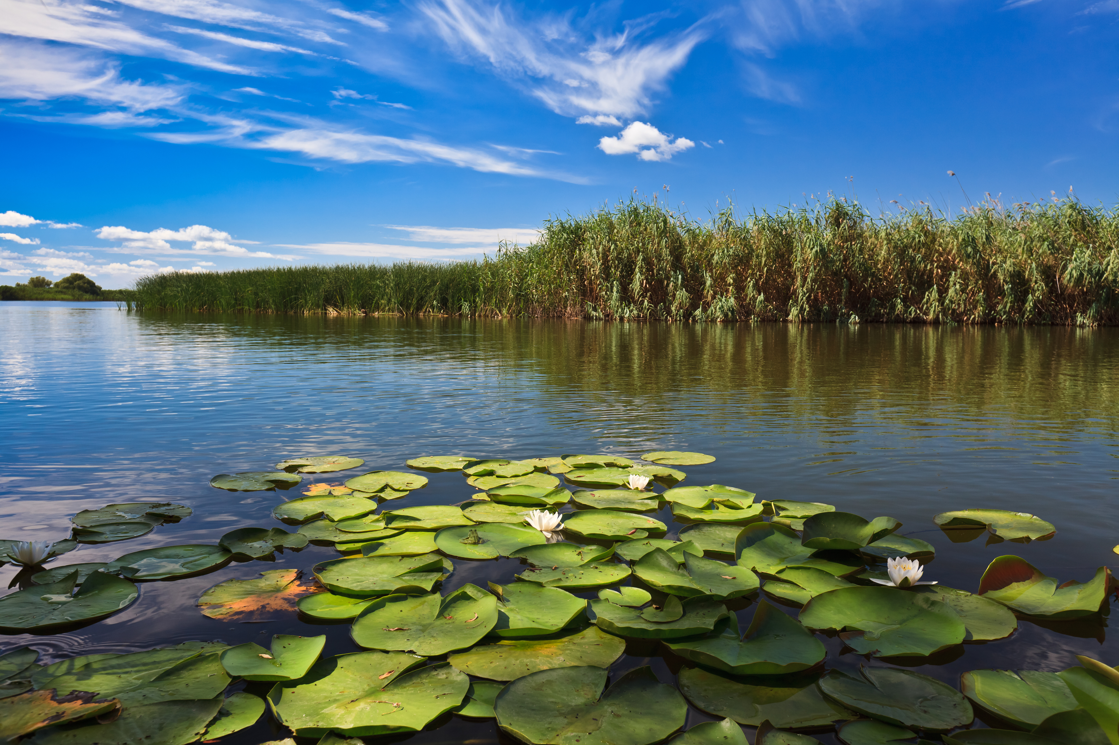 Donaudelta