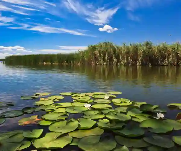 Donaudelta