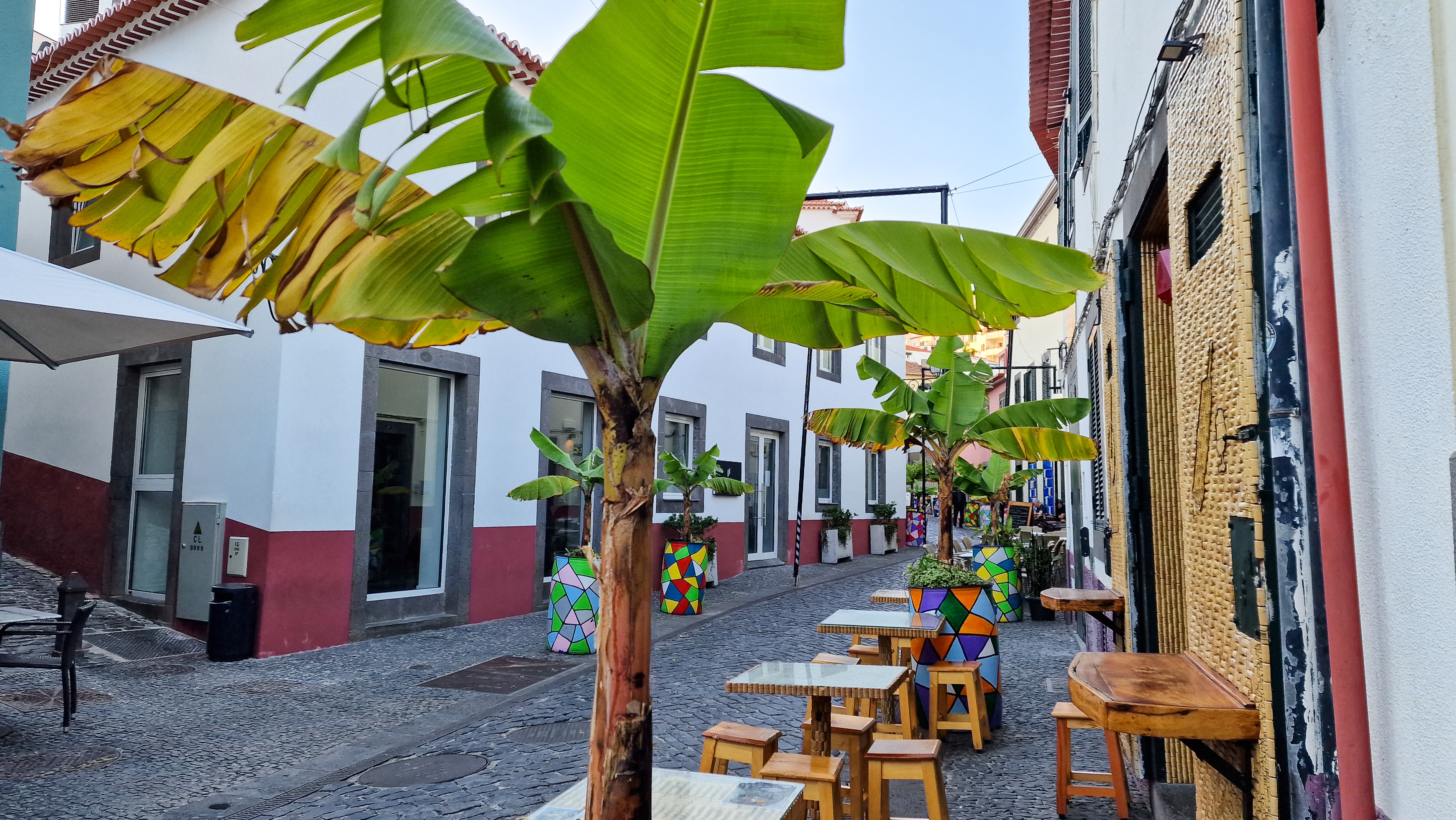 Câmara de Lobos