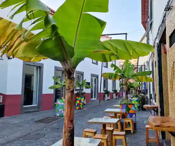 Câmara de Lobos