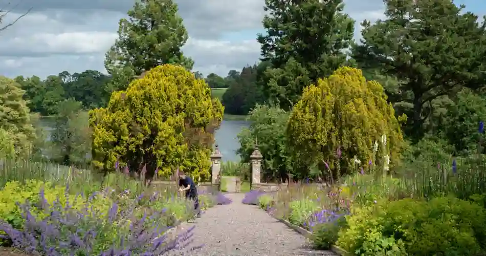 Castle Leslie Estate