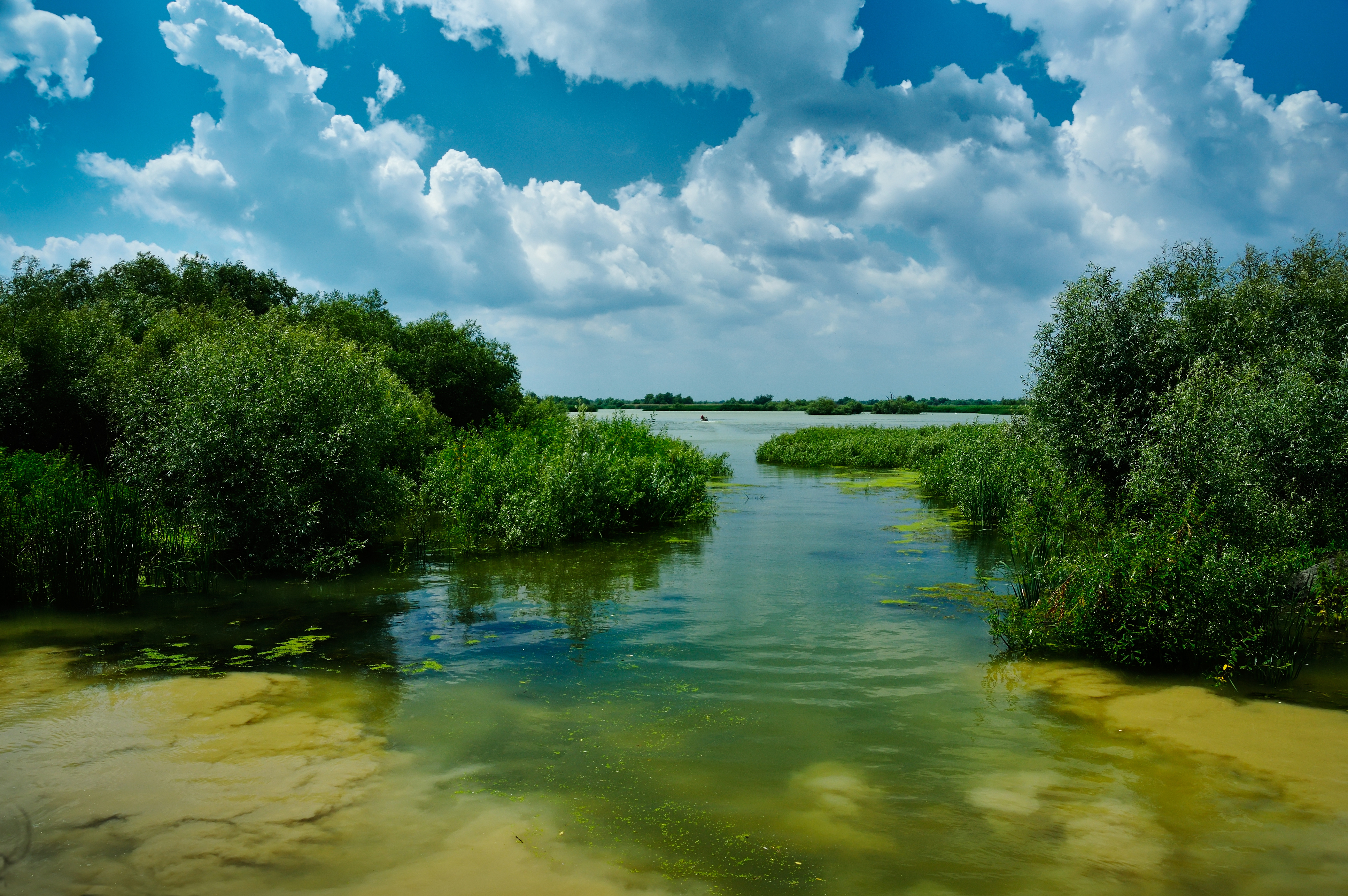 Donaudelta