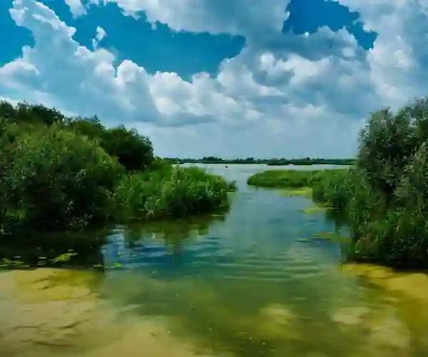 Donaudelta