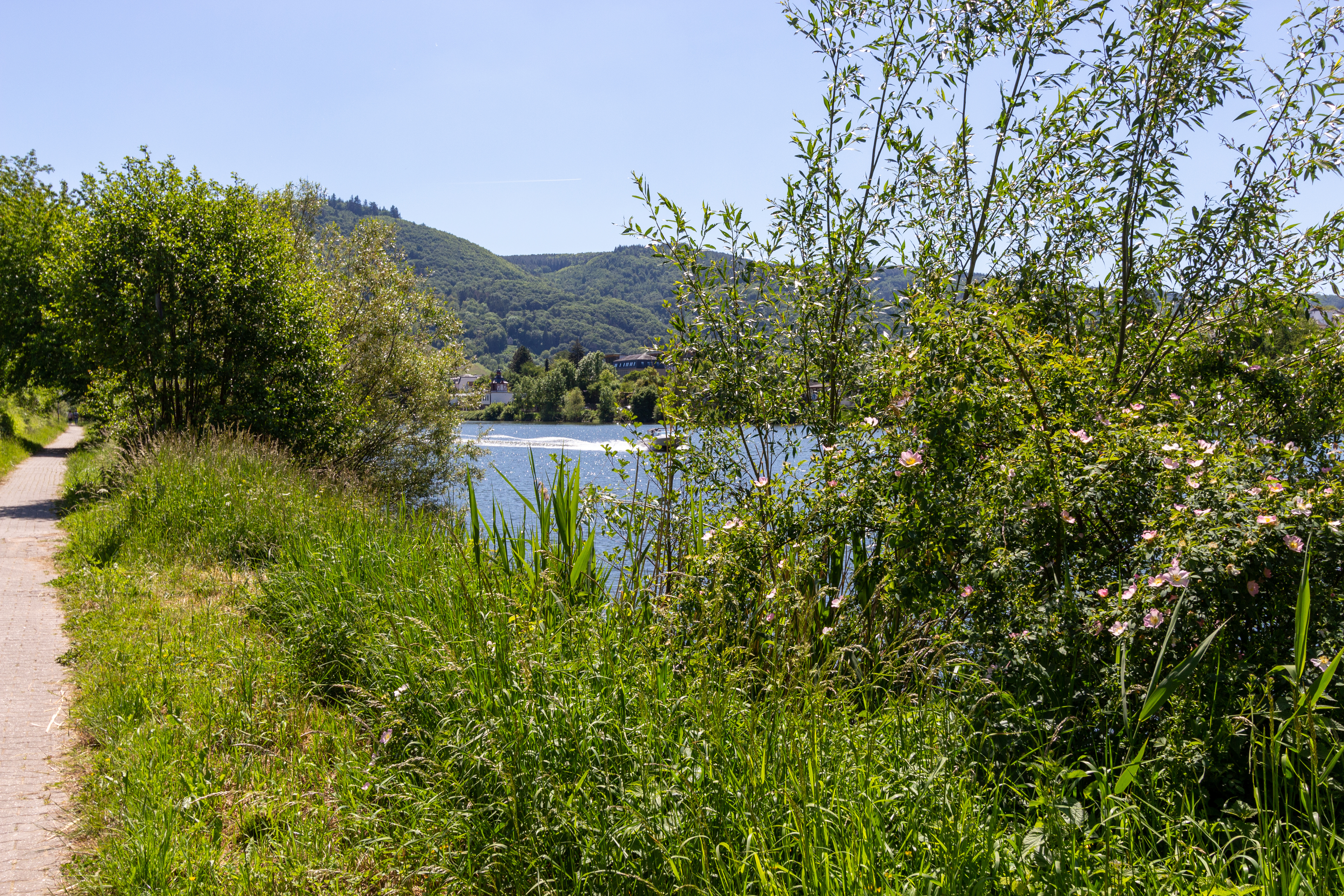 Cykelstier ved Mosel