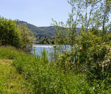 Cykelstier ved Mosel