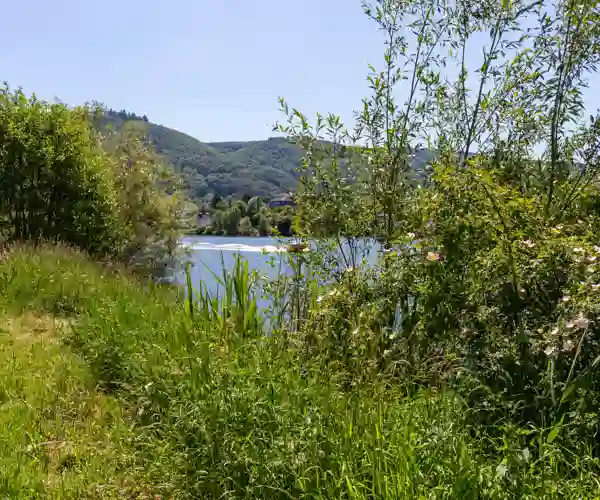 Cykelstier ved Mosel