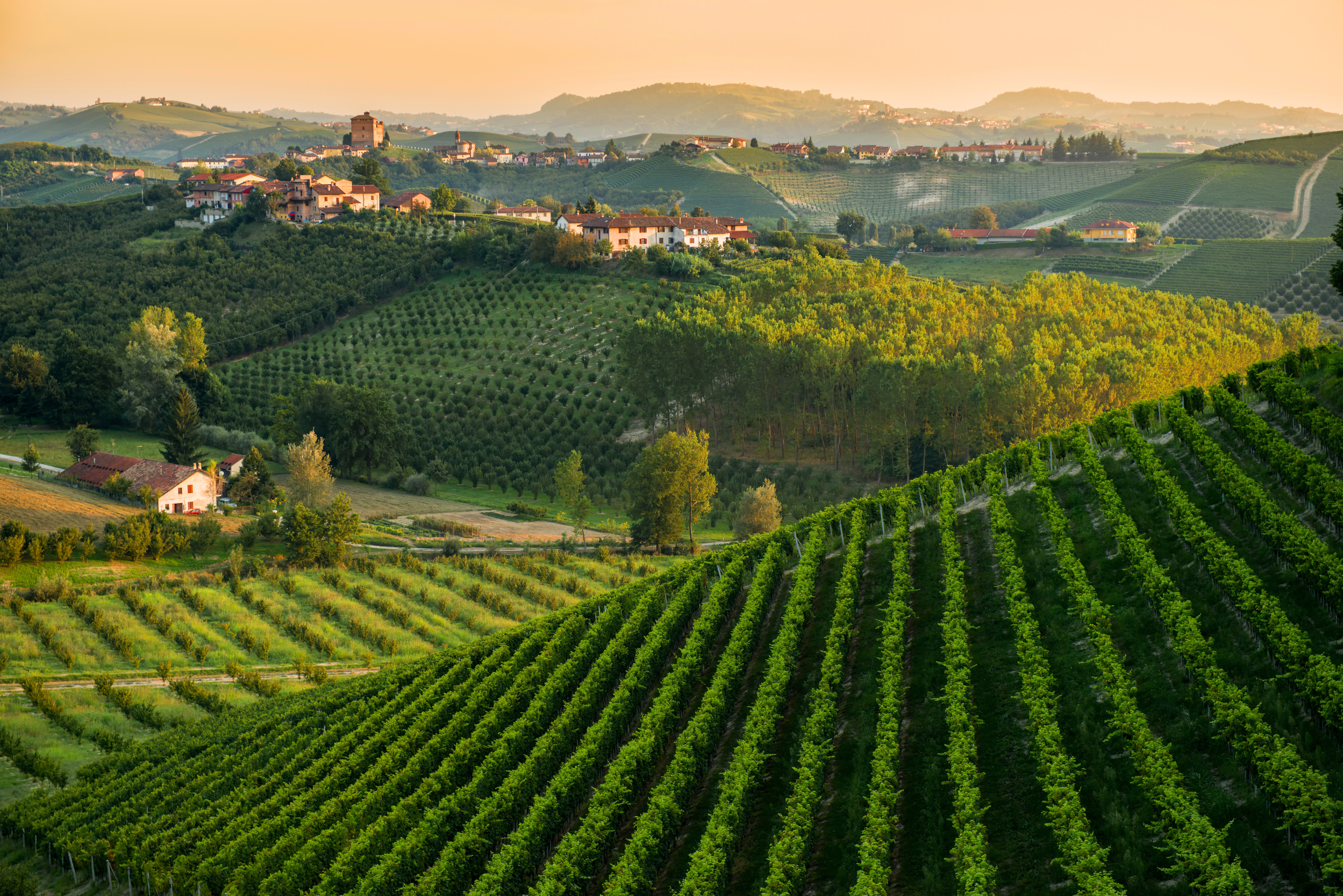 Italiensk kultur i en samlet rejse