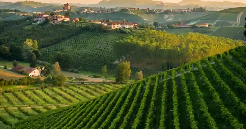 Italiensk kultur i en samlet rejse