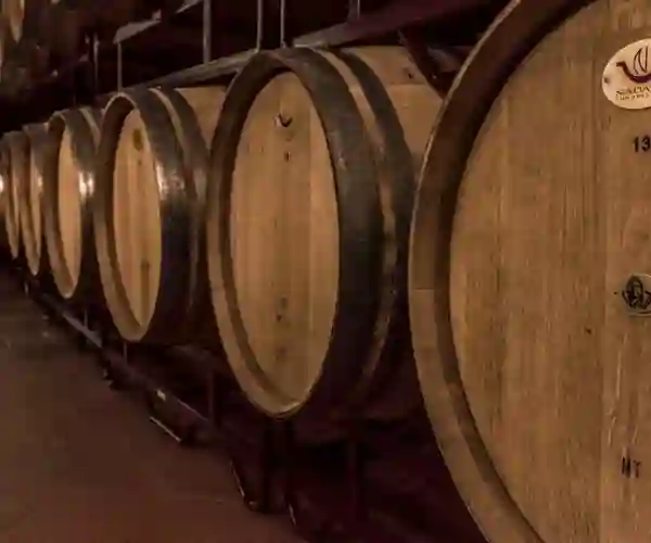 Bairaktaris vingård