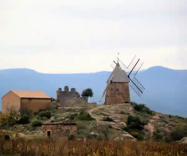 Saint Chinian