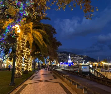 Julepyntet i Funchal