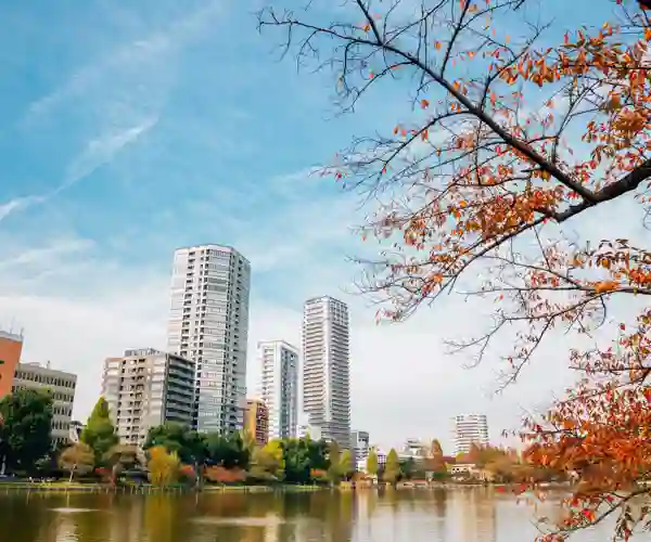 Ueno park - Efterår