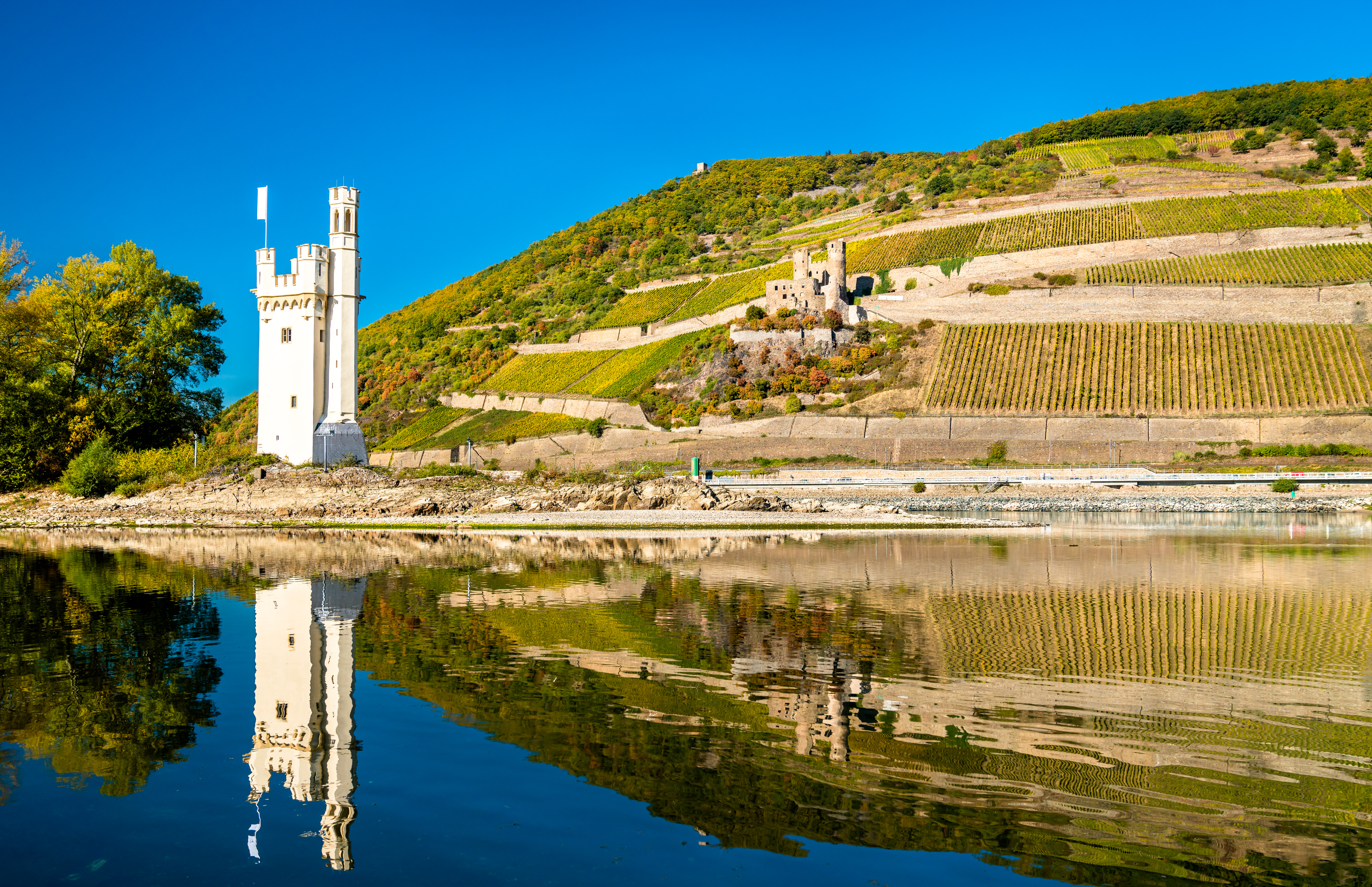 Ehrenfels slott ved Rhinen