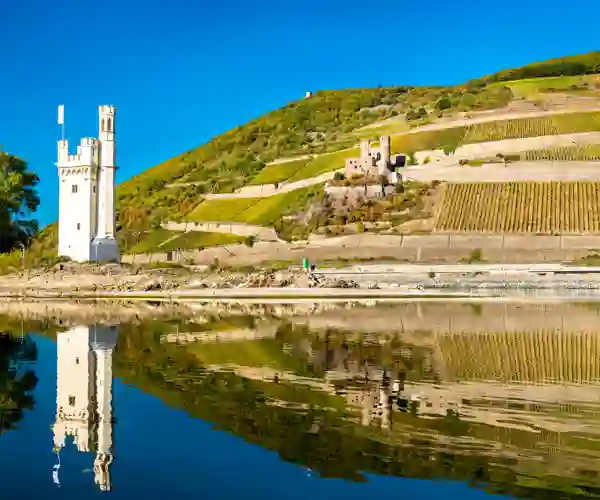 Ehrenfels slott ved Rhinen