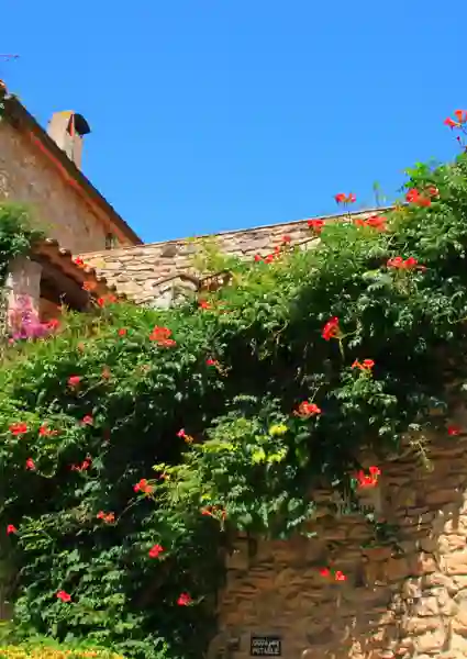 Middelalderlandsbyen Peratallada