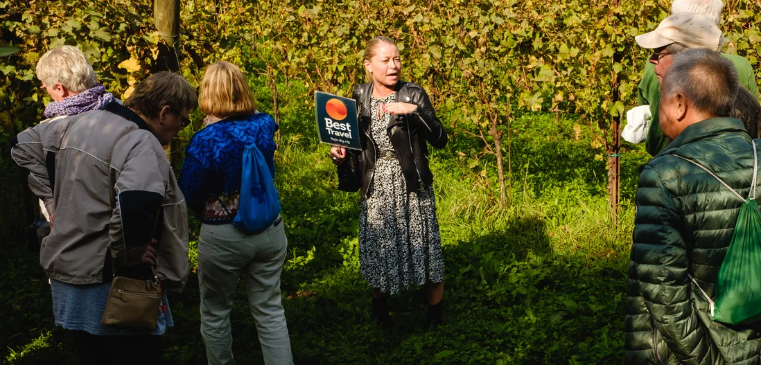 Rejseleder Berit fortæller om vin