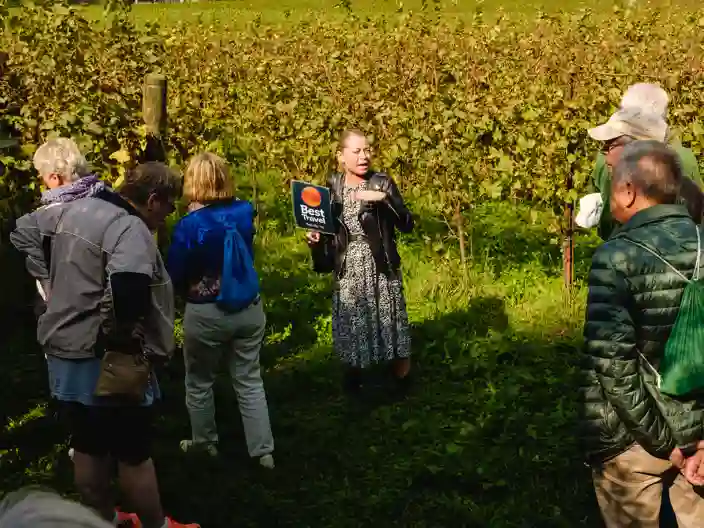 Rejseleder Berit fortæller om vin
