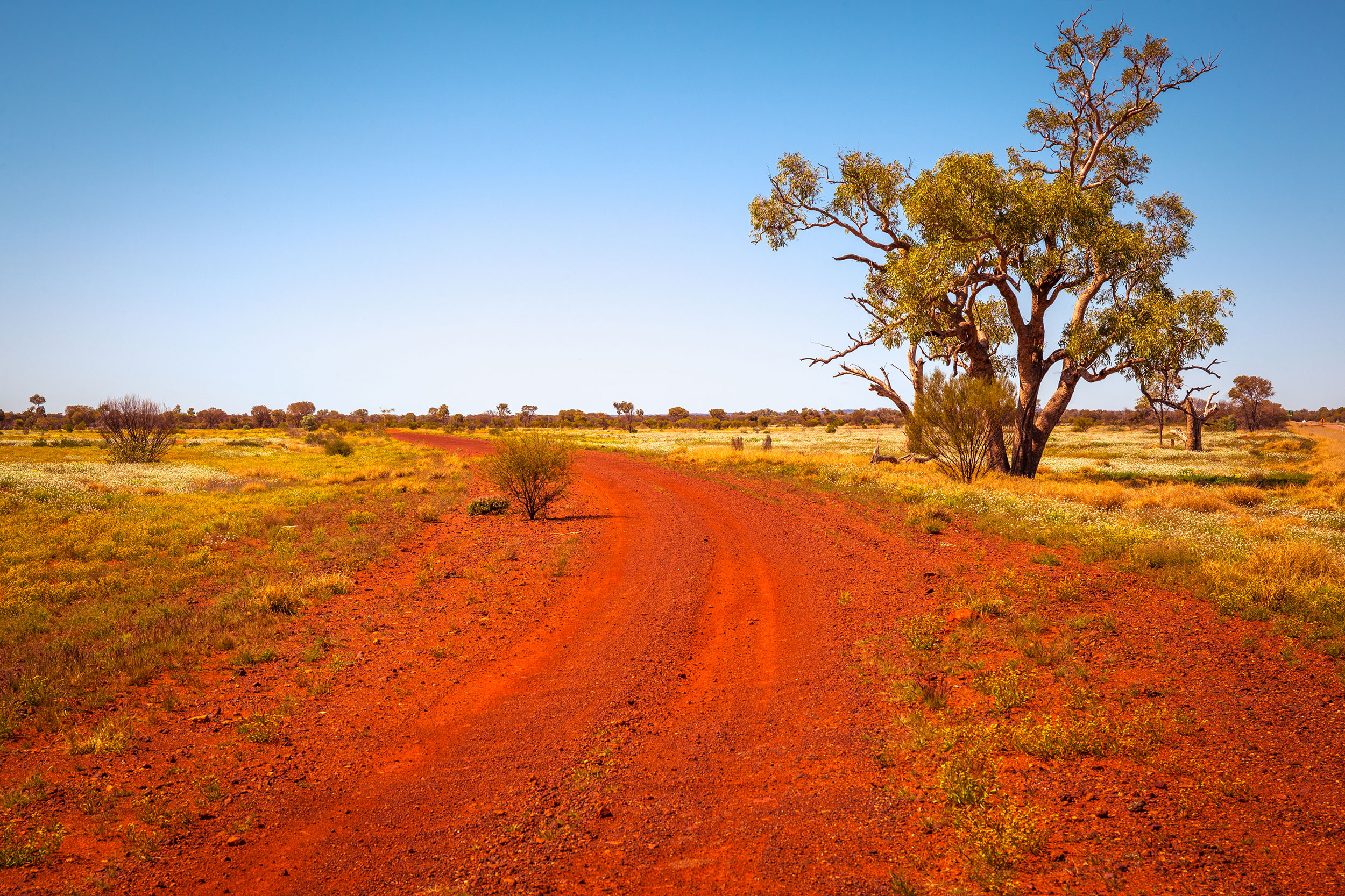 Støvet grusvej i Australiens outback