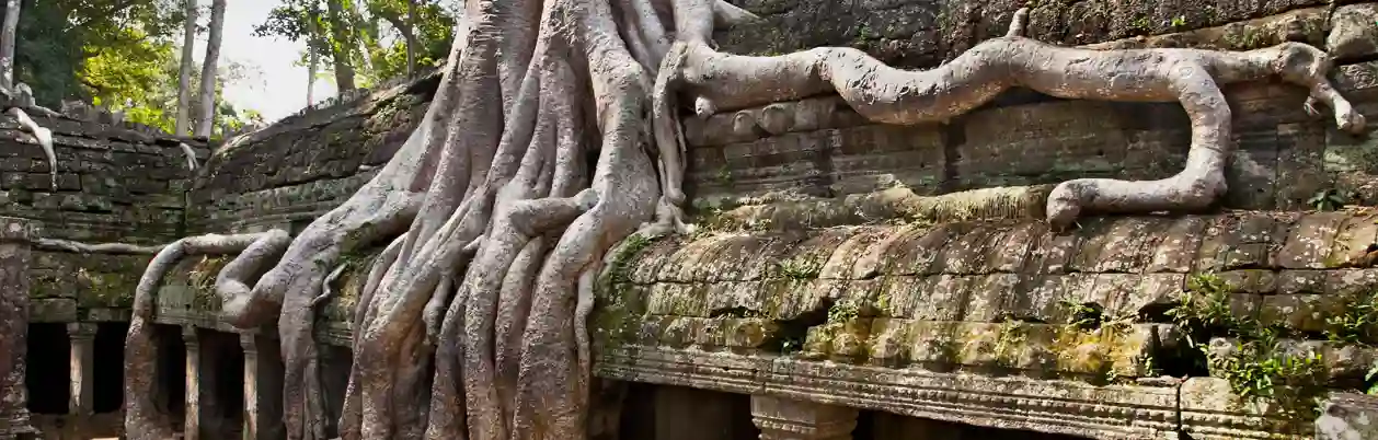 Det overgroede Ta Prum tempel