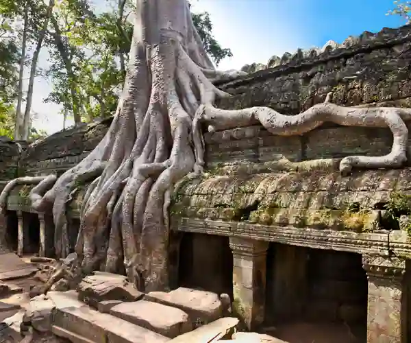 Det overgroede Ta Prum tempel