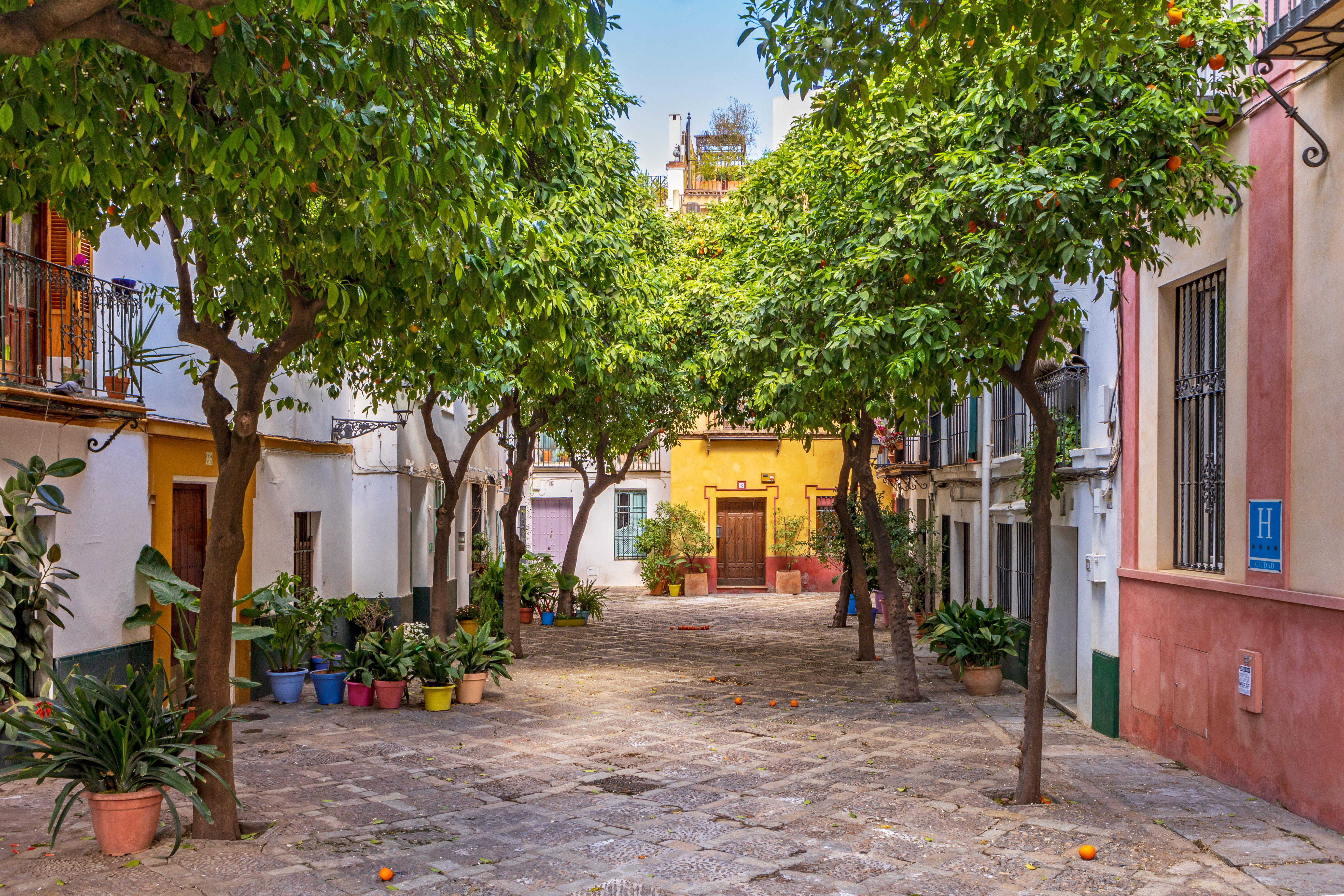 Barrio de Santa Cruz i Sevilla