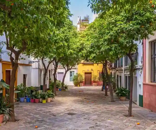 Barrio de Santa Cruz i Sevilla