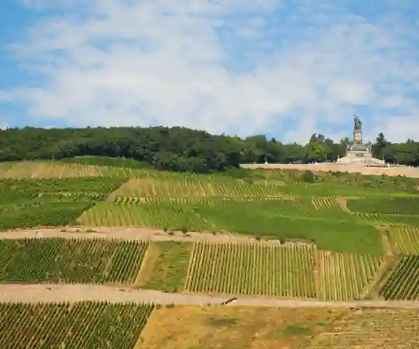 Niederwalddenkmal Ruedesheim