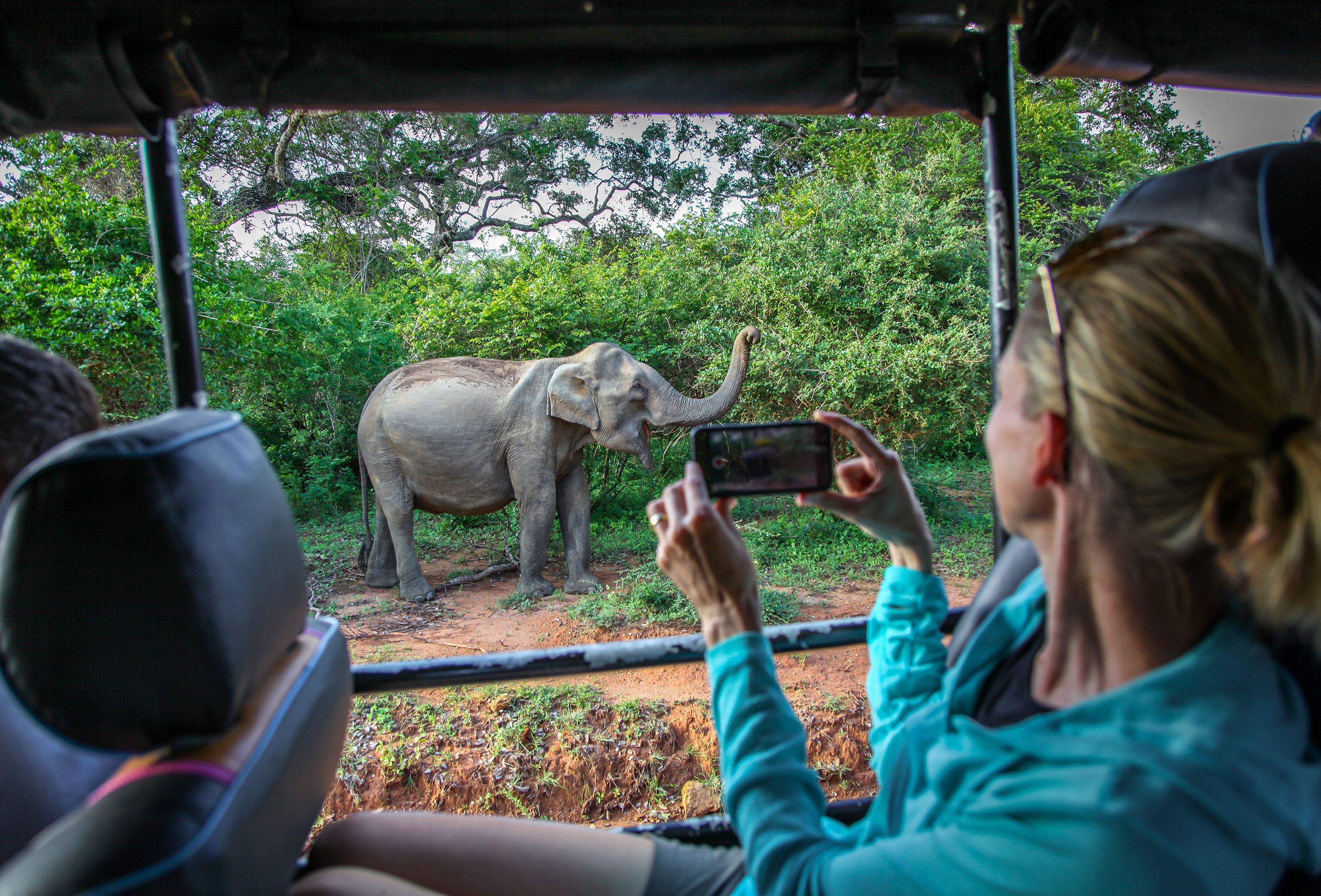 Yala nasjonalpark