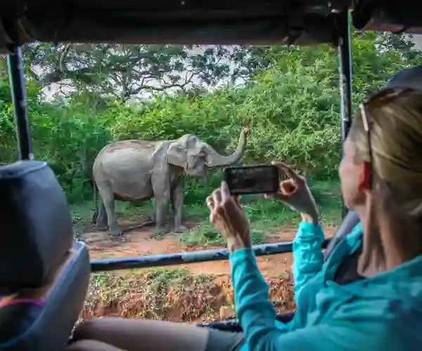 Yala nasjonalpark