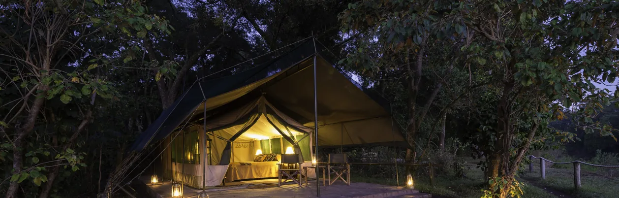 Governors’ Camp i Masai Mara