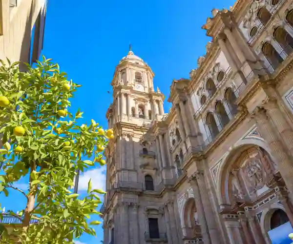 Katedralen i Málaga