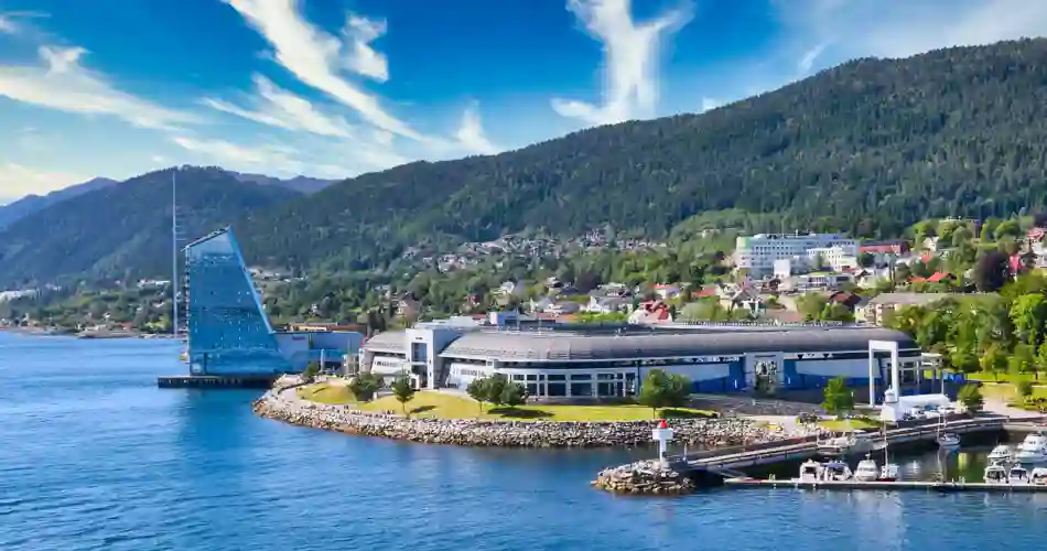 Molde
