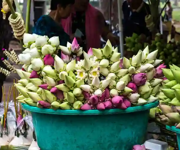 Lotushandler i Siem Reap