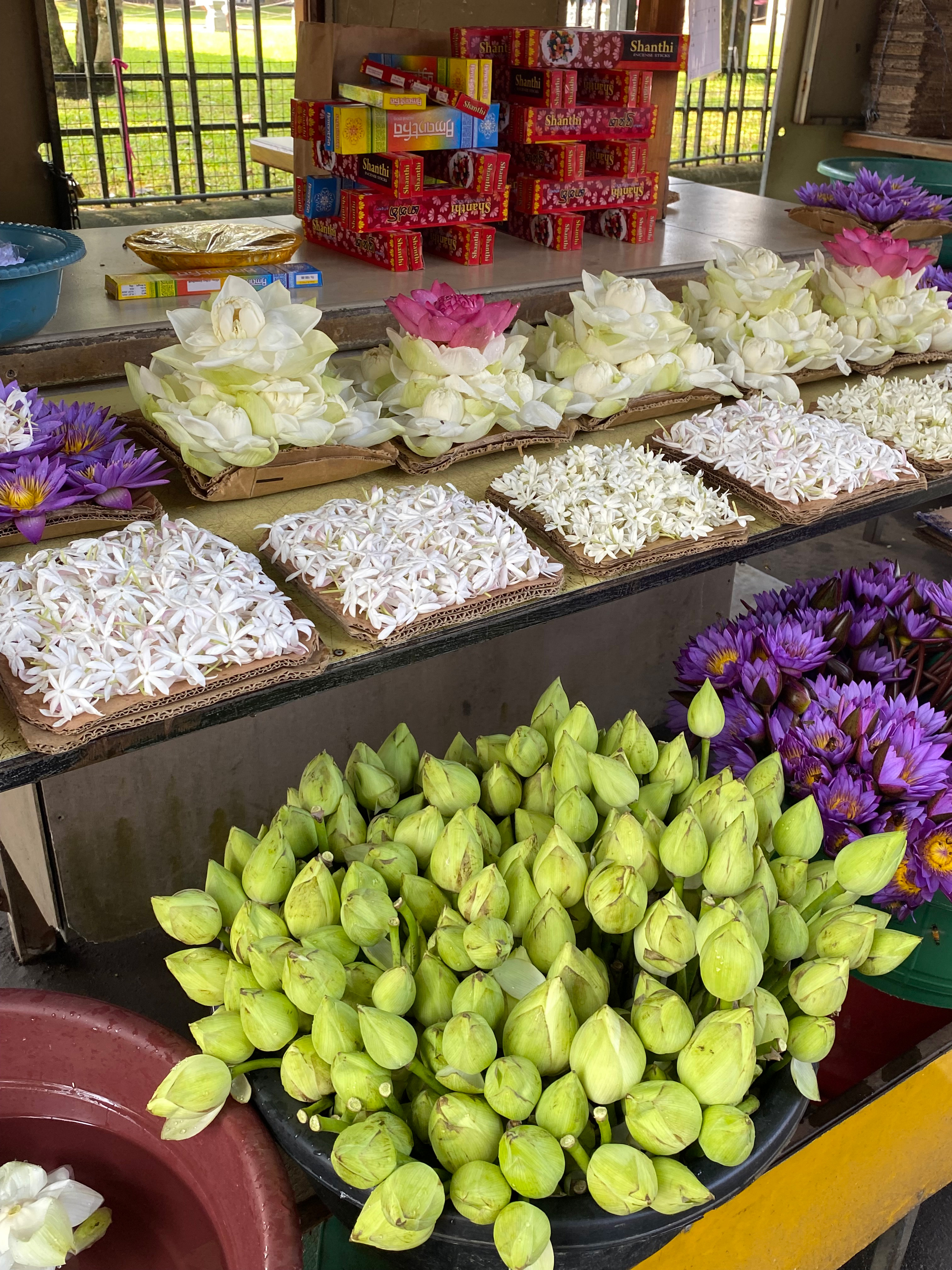 Blomster udenfor Tandtemplet