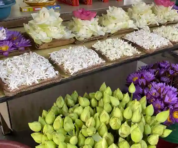 Blomster udenfor Tandtemplet