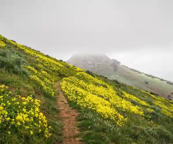 Porto Santo